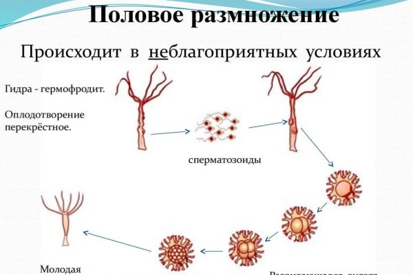 Зайти на кракен тор