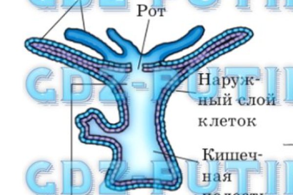 Как зайти на кракен тор