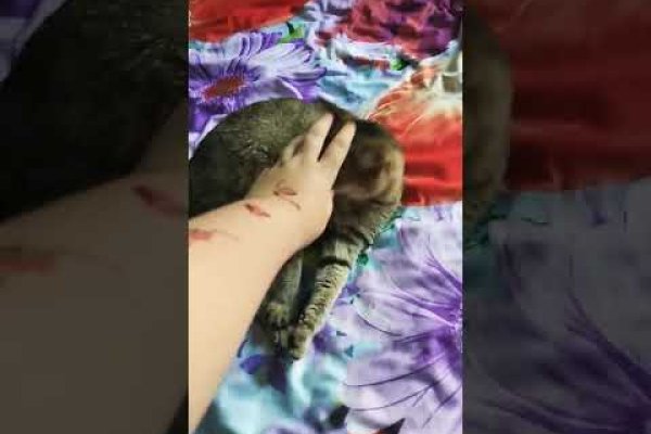 Сайт krn