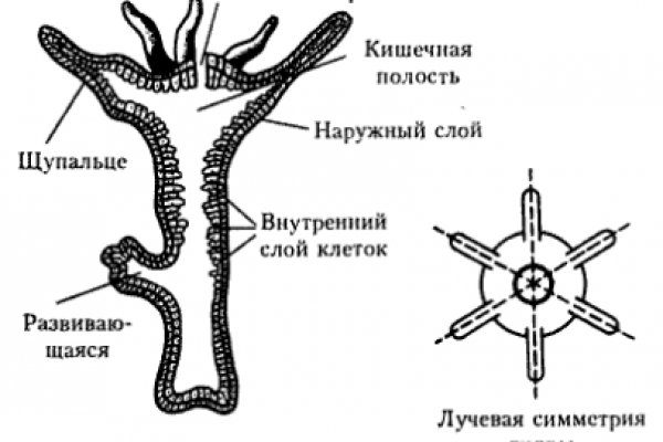 Кракен сайт 18